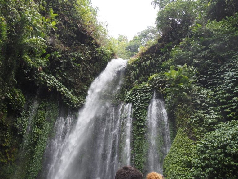 Waterfall in dense green jungle